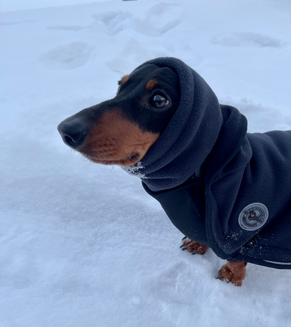 SMART FLEECE -korvahuppu - Image 3